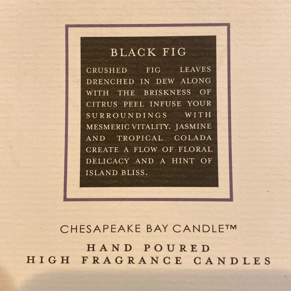NIP Chesapeake Bay Candle 3x4” Clear Glass Holder + 2 Votives 2” Black Fig NEW